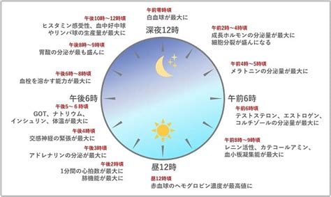 生体リズム 病気に負けない体作りは規則正しい生活から