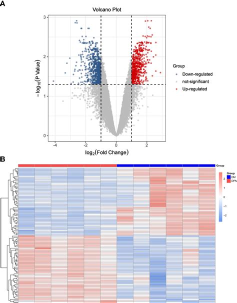 Frontiers Bioinformatics Analysis Identifies Potential Ferroptosis