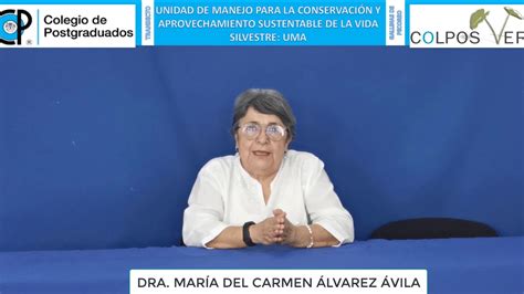 UMA DRA MARIA DEL CARMEN ÁLVAREZ ÁVILA YouTube