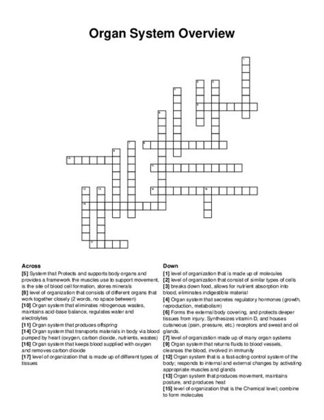 Organ System Overview Crossword Puzzle