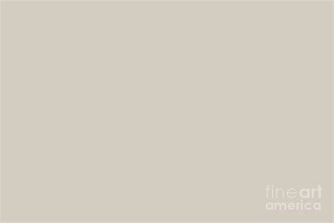 Pale Silvery Beige Solid Color Pairs Ppg In The Buff Ppg1019 2 All