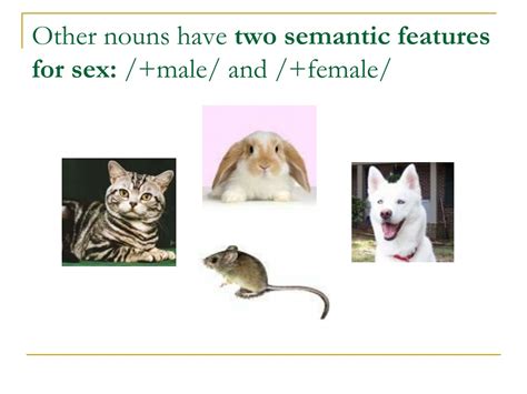 Ppt The Gender Of Nouns Powerpoint Presentation Free Download Id 9111171