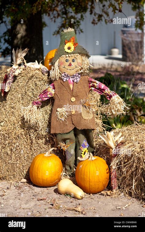 Scarecrow Display Ideas