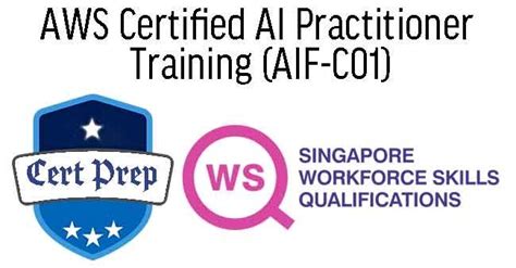 WSQ Become An AWS Certified AI Practitioner AIF C01 Tertiary