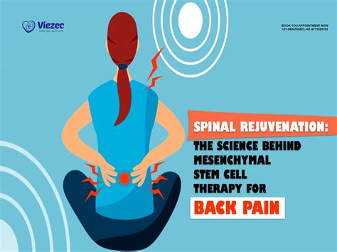 Spinal Rejuvenation Mesenchymal Stem Cell Therapy For Back Pain