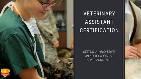 Veterinary Assistant Certification