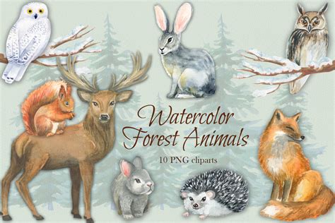 Watercolor Forest Animals Deeezy