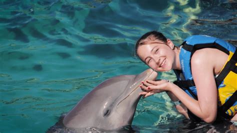 Nado Con Delfines En Isla Mujeres Una Experiencia Nica