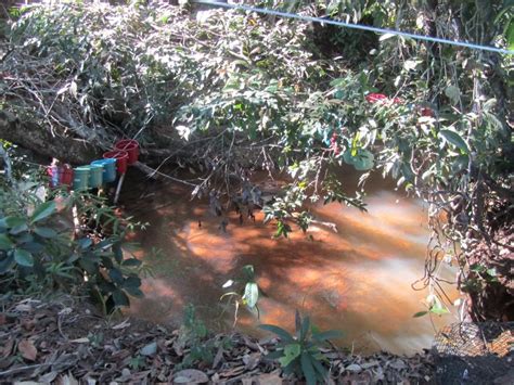 Restauração ecológica do Cerrado A Lavoura