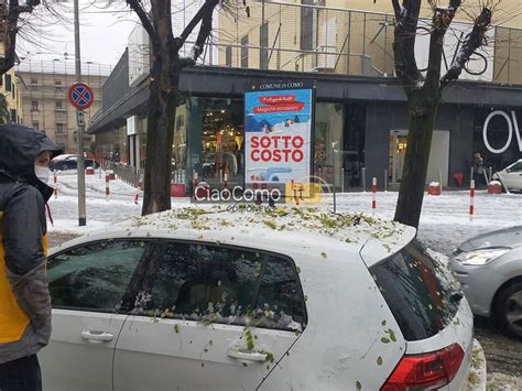 Alberi Sulla Strada Per La Neve Caduta Da Andrate Di Fino A Viale