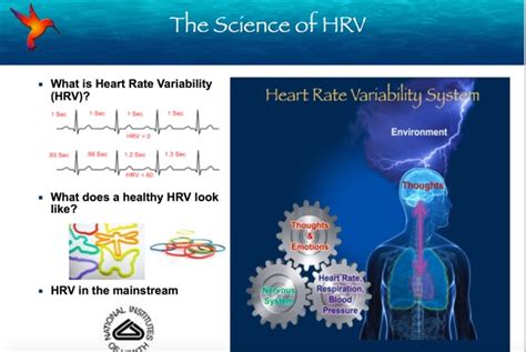 Sr1 And Heart Rate Variability Hrv Somniresonance® Sr1