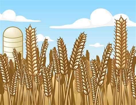 How To Draw A Field Of Wheat