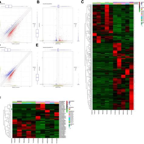 Identification And Hierarchical Clustering Analysis Of Differentially