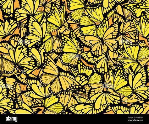 Monarch Butterflies Stock Vector Images Alamy