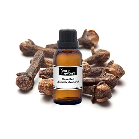 Clove Bud Essential Oil Purenature Nz