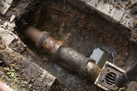 Top 5 Symptoms of a Damaged Sewer Pipe - Pipes and Wrenches