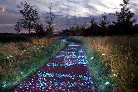 Daan Roosegaarde Designed An Interactive Cycle Path In The Netherlands