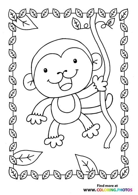 Monkey Hanging From Liana Coloring Pages For Kids