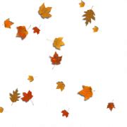 Fall Leaf PNG Image - PNG All