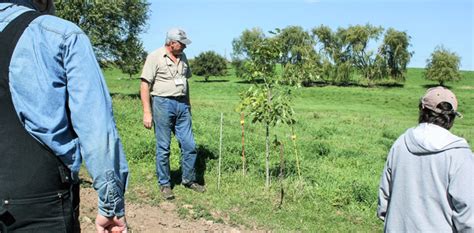 Wisconsin Grazier Experiments With Forage Options Ag Proud