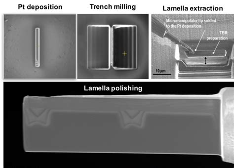 Sem Micrographs Of The Main Steps During The Fib Lamella Preparation