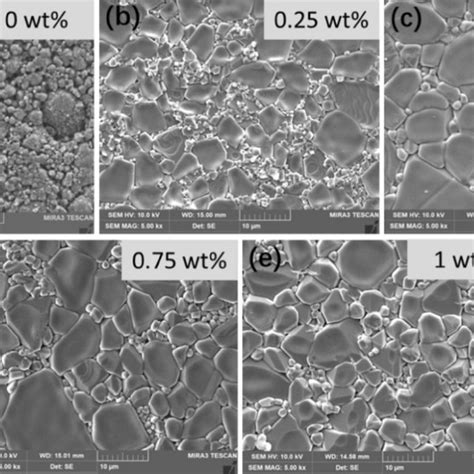 Sem Micrographs Of Li Zn Ti O Xtio Ceramics Doped With Wt B O