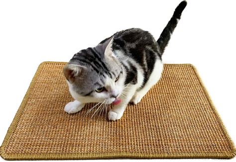 Amazon Fukumaru Cat Wall Furniture Including Cat Scratcher Mat