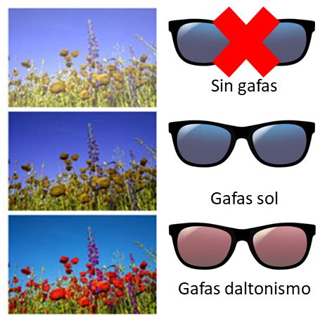 Venta Lentes Para Daltonicos En Stock