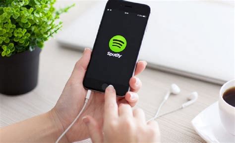 5 Kendala Kenapa Spotify Tidak Ada Liriknya