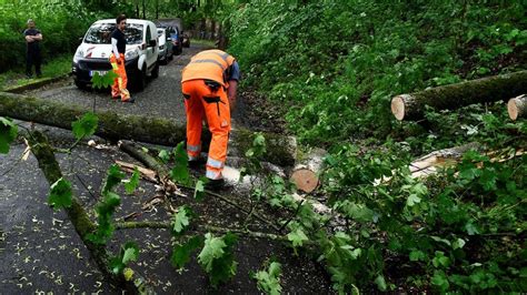 Sturm lässt mehrere Bäume in der Wartburgregion umfallen