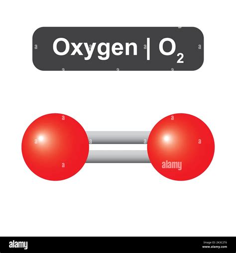 Molecular Model Of Oxygen O2 Molecule Vector Illustration Stock