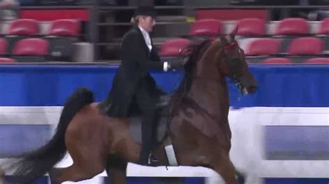 Kentucky State Fair Wraps Up With World Championship Horse Show