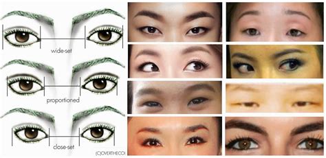 Types Of Eyelids Makeup Mugeek Vidalondon