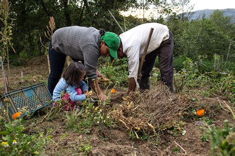 A un año de haber iniciado la siembra de semillas nativas en La Huerta