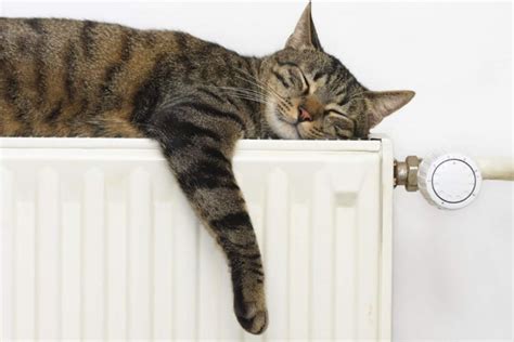 Comment Se Chauffer Gratuitement Cet Hiver Sans Gaz Ni Lectricit