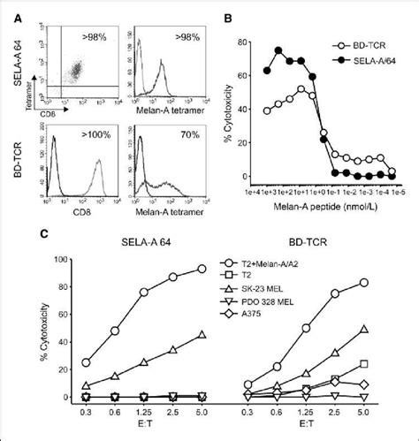 Transgenic Tcr Reproduces The Characteristics Of The Original Ctl