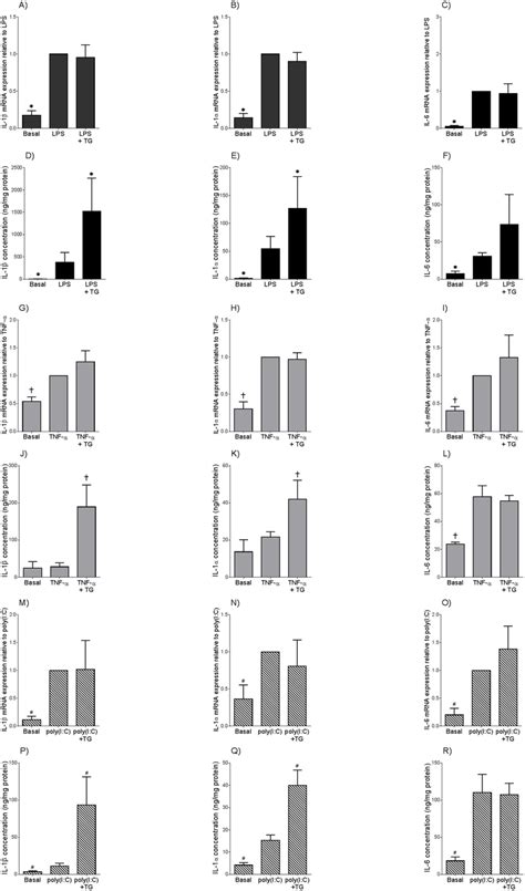 Thapsigargin Induces Enhanced Il 1α And Il 1β Secretion But Not Gene