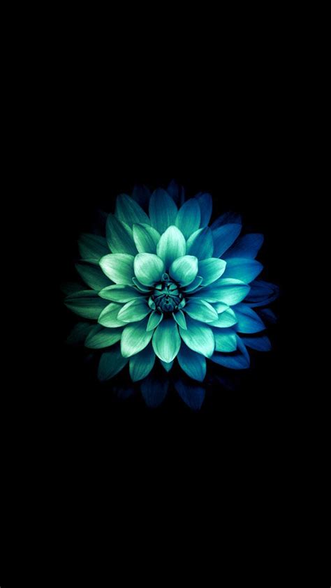 Teal Flower Wallpapers - Top Free Teal Flower Backgrounds - WallpaperAccess