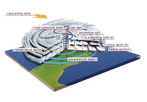 Tropical Cyclones: Favorable Conditions for Formation, Stages of ...