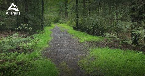 Dolly Sods List AllTrails