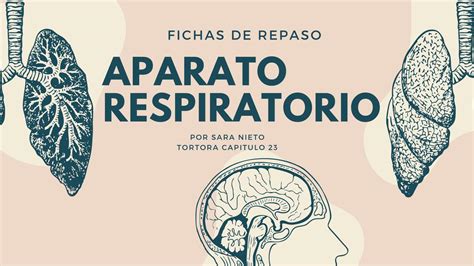 Aparato Respiratorio Sara Nieto Udocz