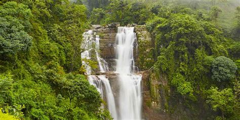 Attractions In Nuwara Eliya Amex Destinations