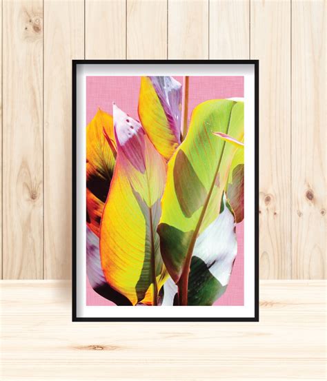 Large Leaf Print Tropical Leaves Wall Art Tropical Plant Photo