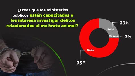 Maltrato Animal En México 2021 ¿qué Opinión Se Tiene Animanaturalis