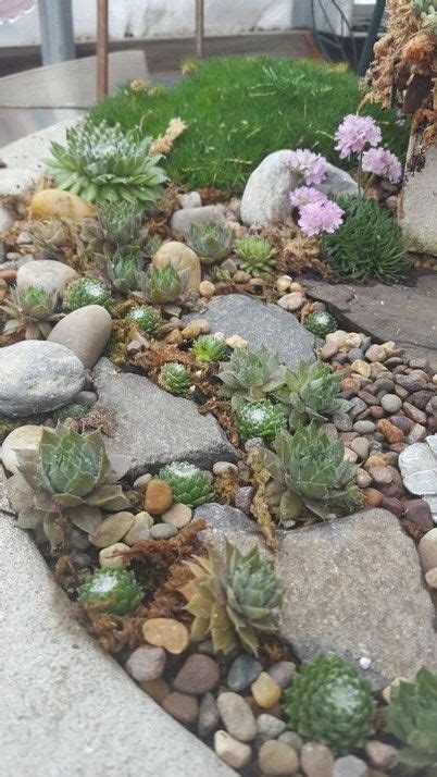 50 Unique Rock Garden Ideas For The Backyard Decoomo Unique Background I