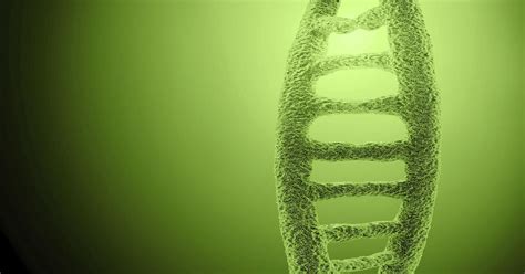 New Dna Analysis Tool Can Help Nab Criminals