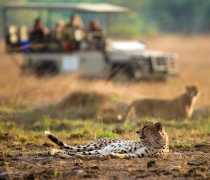 Zambia Safari Tours