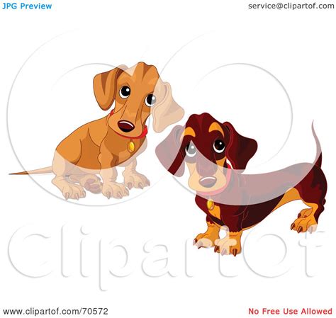 Royalty Free Rf Clipart Illustration Of Two Dachshund Puppies By