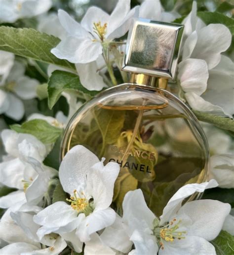 What Are the Best Fragrances Similar to Chanel Chance? Our Top Dupes ...