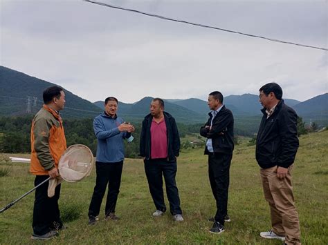 省林检局赴丽江市调研指导草原有害生物普查工作云南省林业和草原局